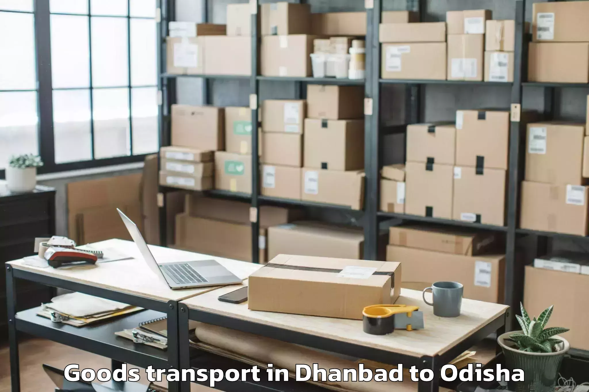 Professional Dhanbad to Veer Surendra Sai University O Goods Transport